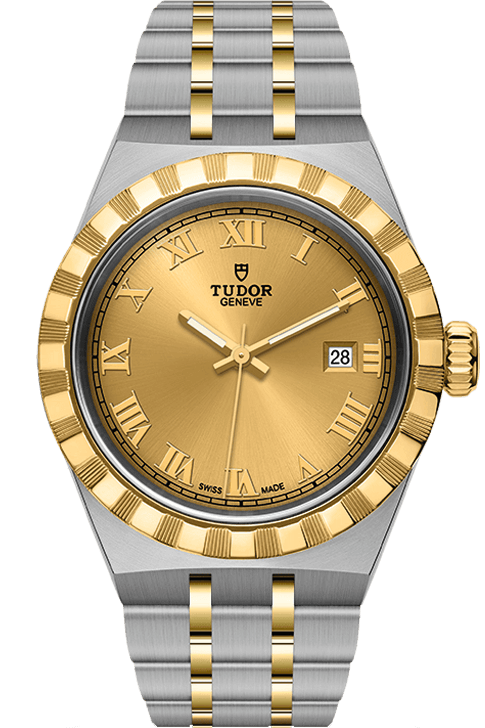 Tudor Royal Ref - M28303-0004