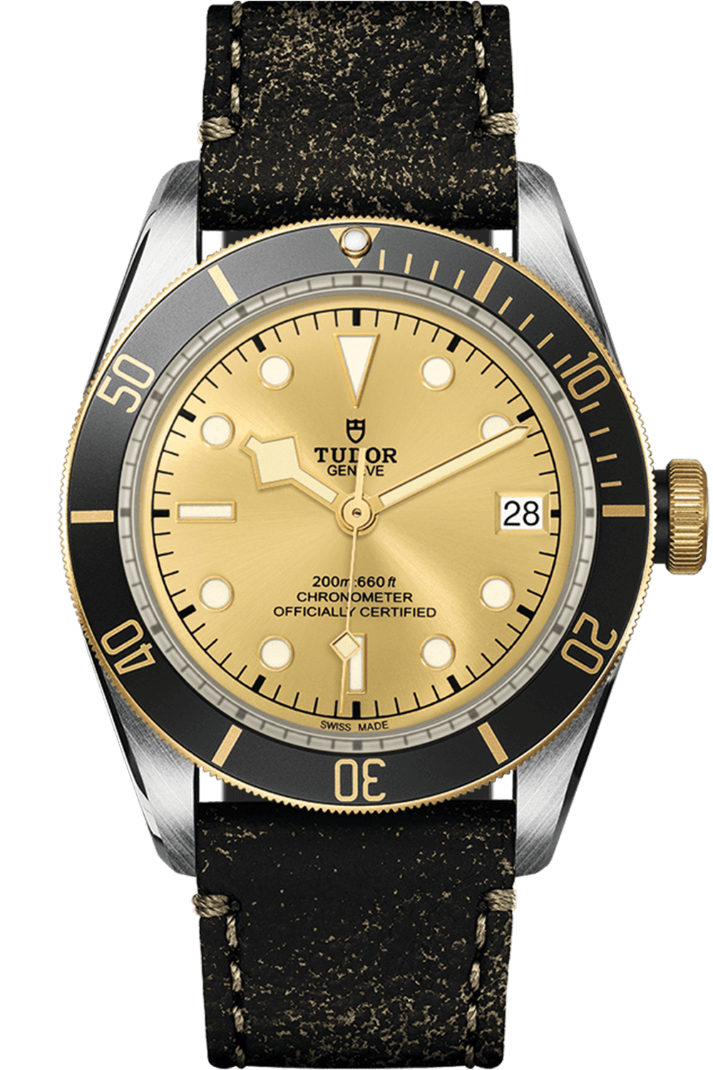 Tudor Black Bay S&G Ref - M79733N-0003